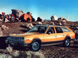 AMC Concord Wagon 1978 images