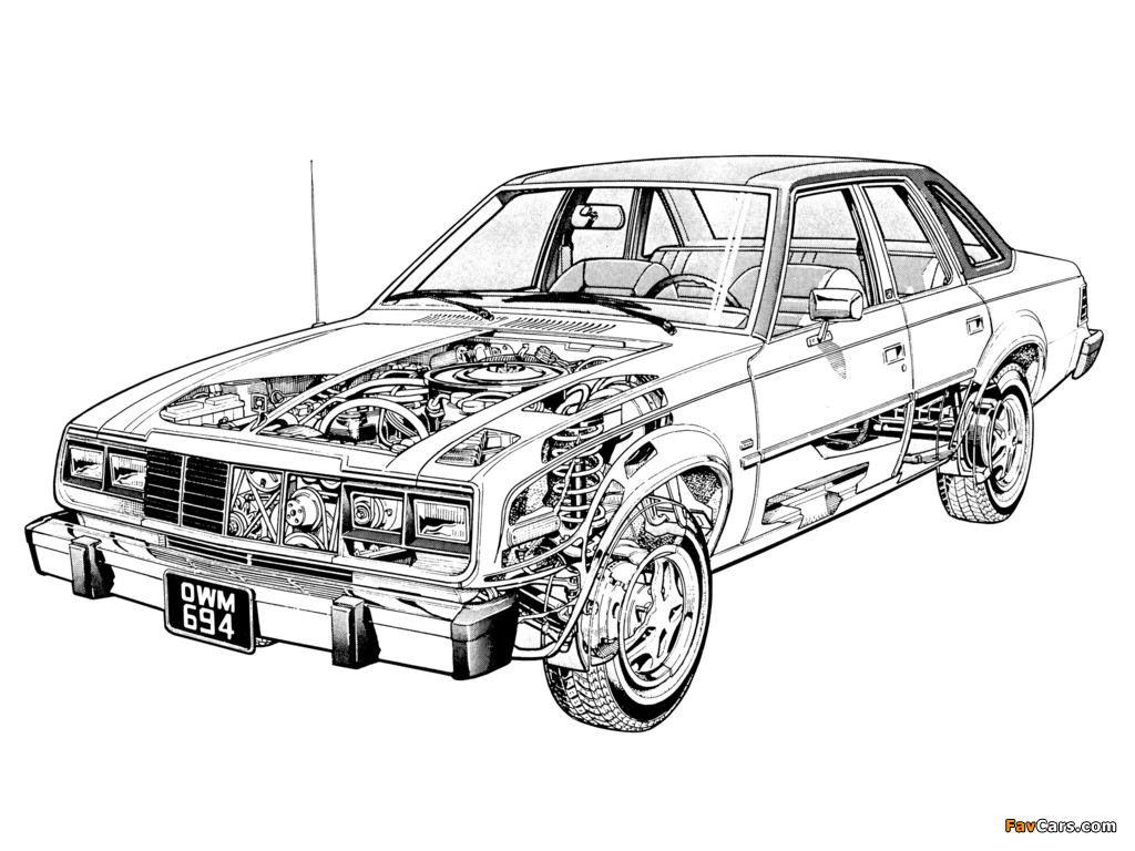 AMC Concord 4-door Sedan 1979–83 pictures (1024 x 768)