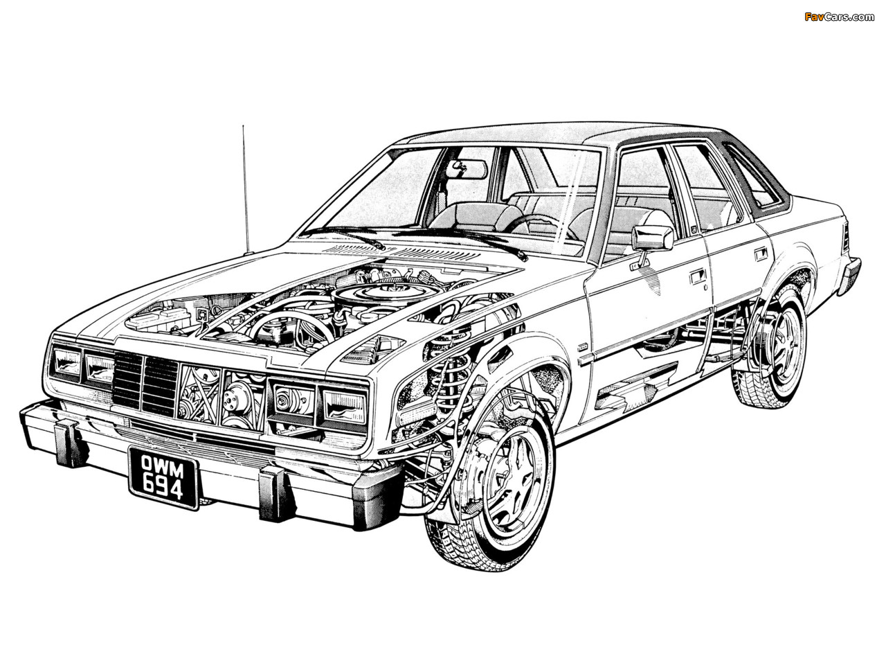 AMC Concord 4-door Sedan 1979–83 pictures (1280 x 960)