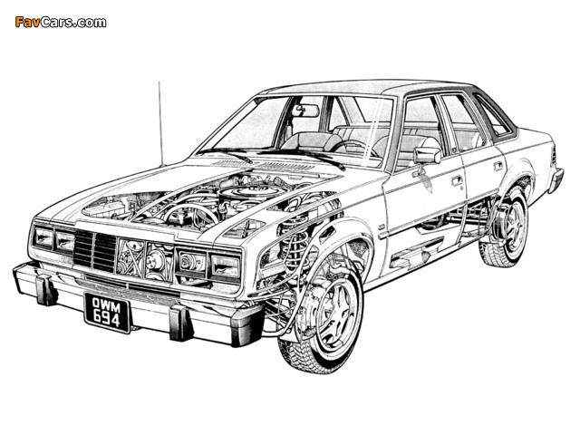 AMC Concord 4-door Sedan 1979–83 pictures (640 x 480)