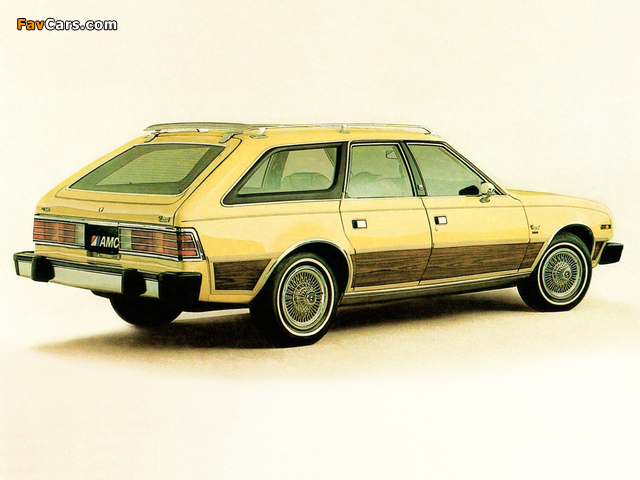 Images of AMC Concord Wagon 1979–83 (640 x 480)