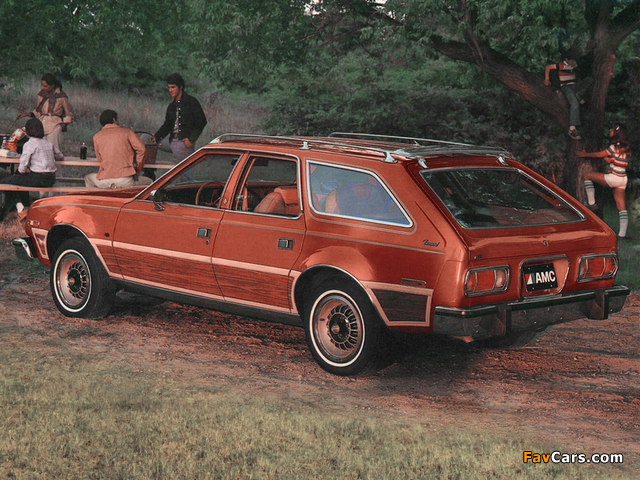 Photos of AMC Concord D/L Wagon (7808-7) 1978 (640 x 480)