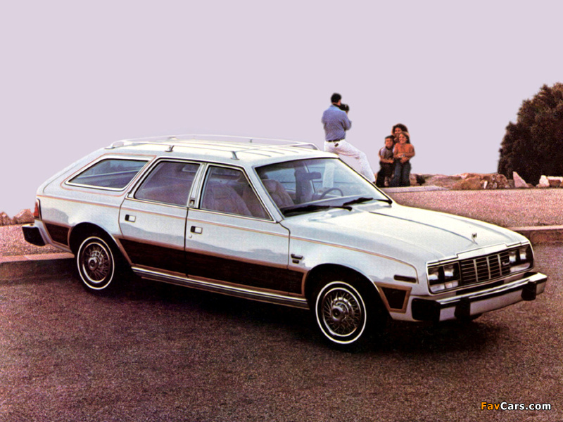 Photos of AMC Concord Wagon 1979–83 (800 x 600)
