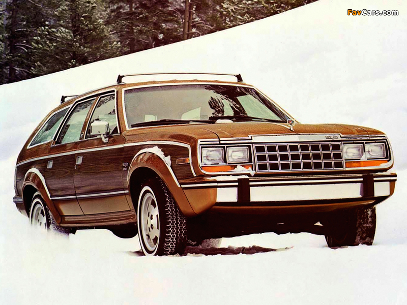 AMC Eagle Wagon 1984 images (800 x 600)