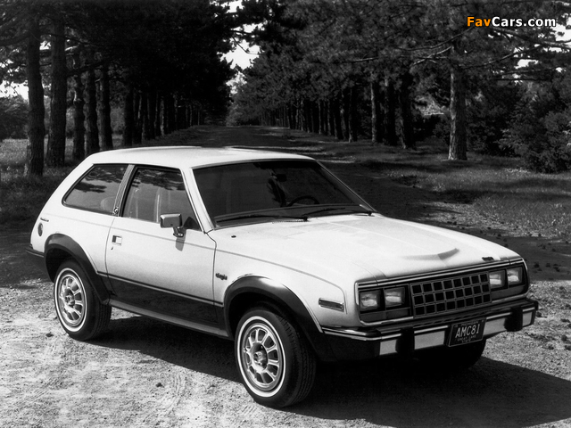 Images of AMC Eagle Kammback 1981–82 (640 x 480)