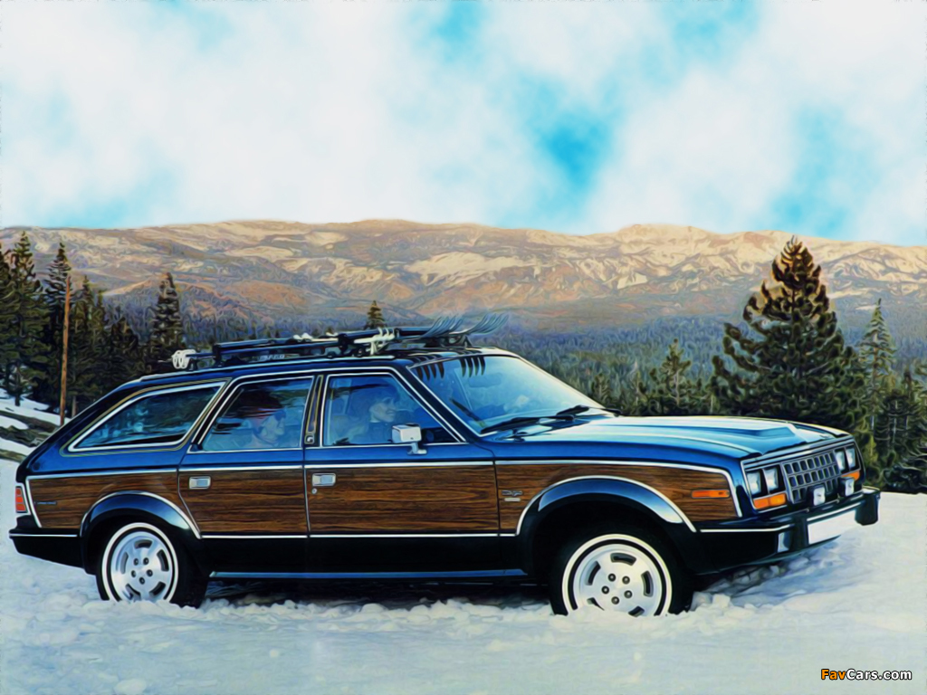 Pictures of AMC Eagle Wagon 1985 (1024 x 768)