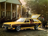 AMC Hornet Sportabout 1975–77 images