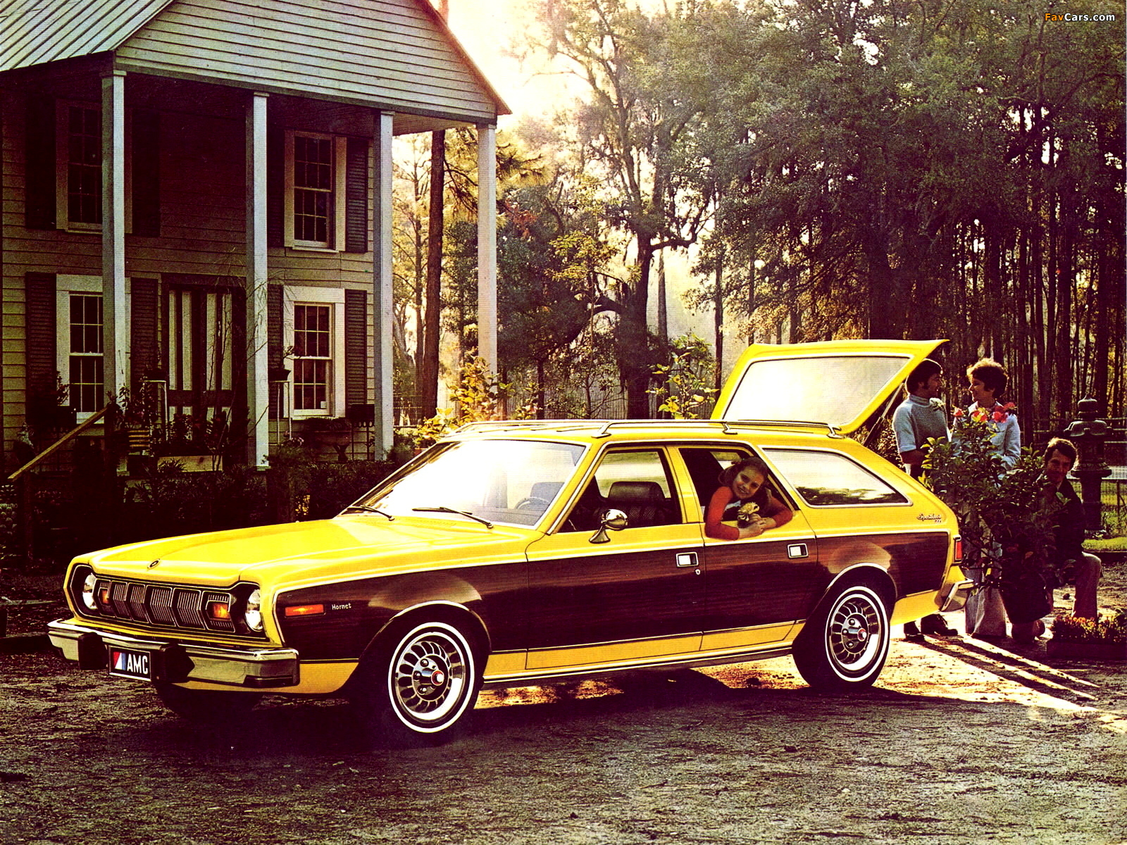 AMC Hornet Sportabout 1975–77 photos (1600 x 1200)
