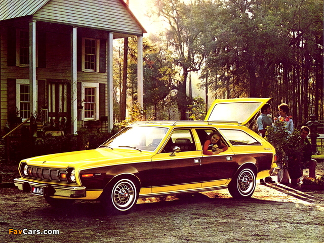 AMC Hornet Sportabout 1975–77 photos (640 x 480)