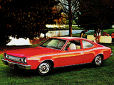 Pictures of AMC Hornet Hatchback 1974