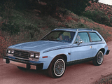 Photos of AMC Spirit D/L Sedan 1979–80