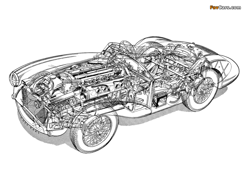 Pictures of Aston Martin DB3S (1953–1956) (800 x 600)