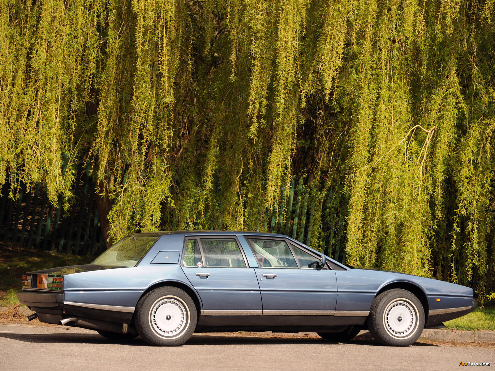 Images of Aston Martin Lagonda (1976–1987) (1600 x 1200)