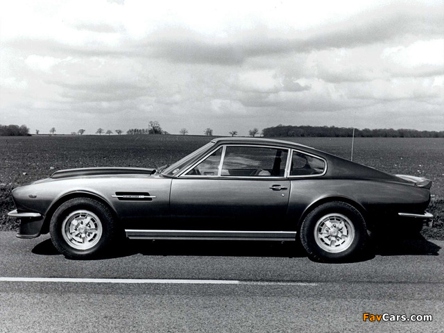 Aston Martin V8 Vantage (1977–1989) photos (640 x 480)