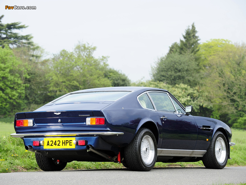Aston Martin V8 Vantage UK-spec (1977–1989) photos (800 x 600)