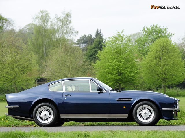 Aston Martin V8 Vantage UK-spec (1977–1989) pictures (640 x 480)