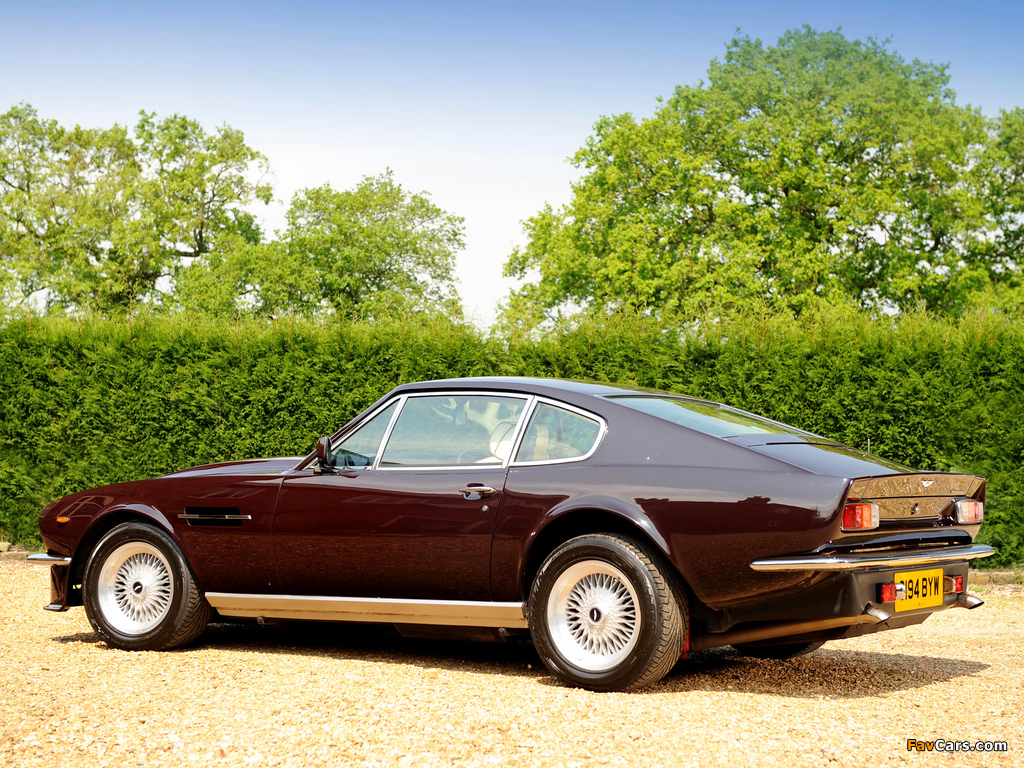 Aston Martin V8 Vantage UK-spec (1977–1989) pictures (1024 x 768)