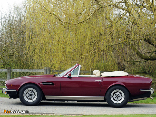 Aston Martin V8 Volante (1977–1989) pictures (640 x 480)