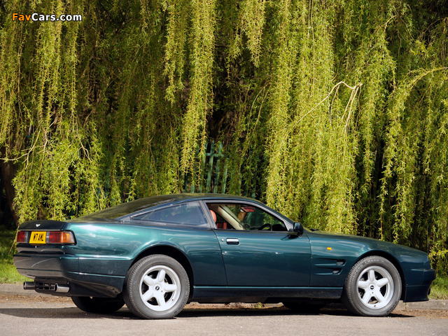 Aston Martin Virage Limited Edition Coupe (1994–1995) pictures (640 x 480)