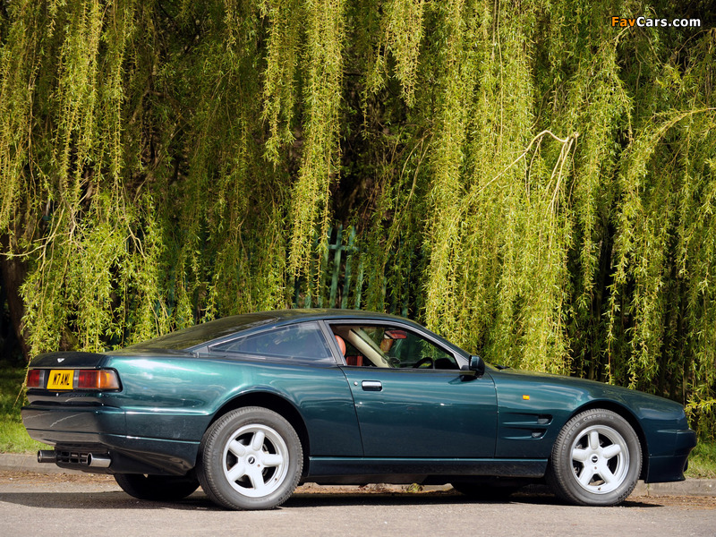 Aston Martin Virage Limited Edition Coupe (1994–1995) pictures (800 x 600)