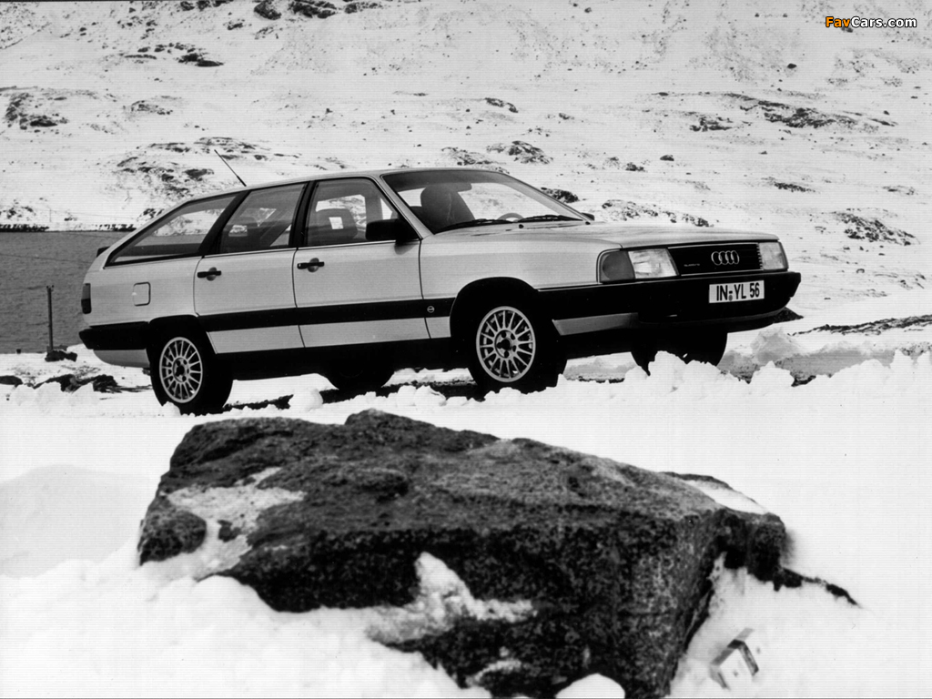Audi 100 quattro Avant C3 (1982–1987) wallpapers (1024 x 768)