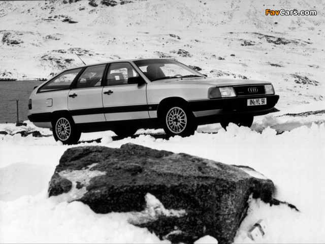Audi 100 quattro Avant C3 (1982–1987) wallpapers (640 x 480)