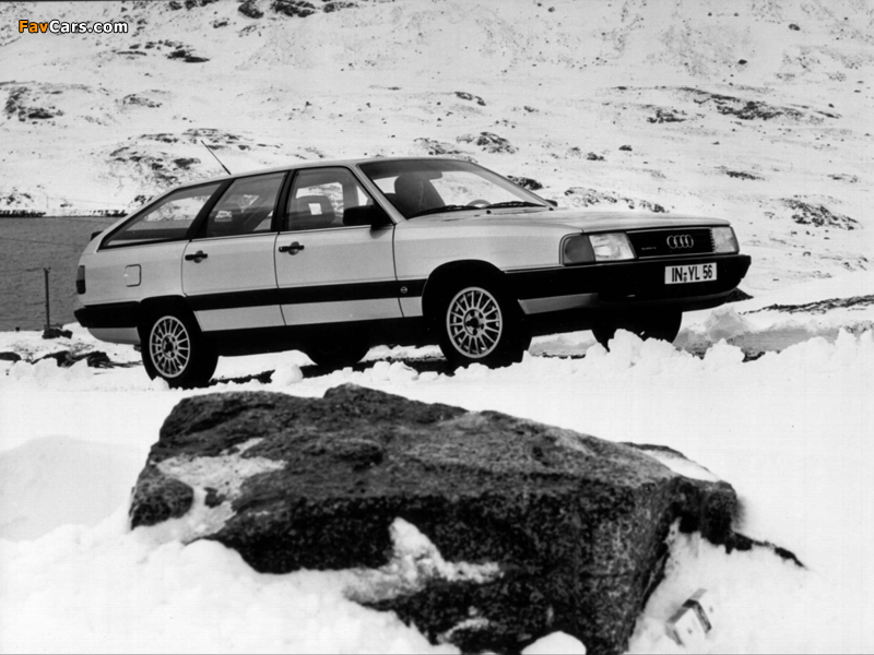 Audi 100 quattro Avant C3 (1982–1987) wallpapers (800 x 600)
