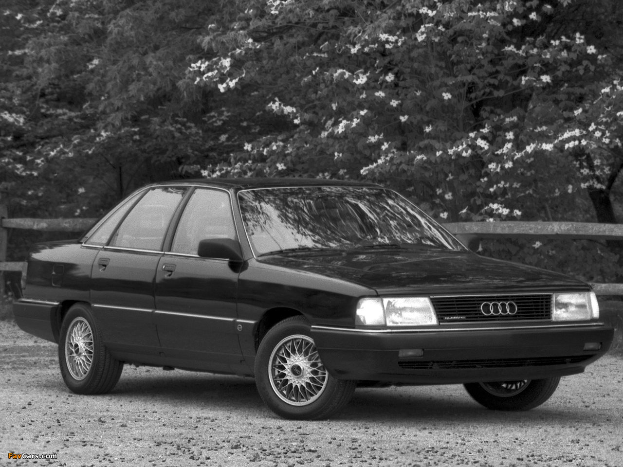 Audi 100 quattro US-spec C3 (1988–1990) photos (1280 x 960)