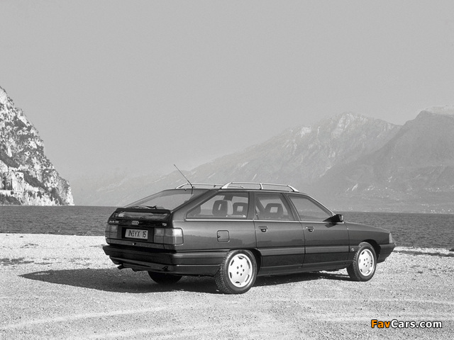 Audi 100 Avant C3 (1988–1990) pictures (640 x 480)
