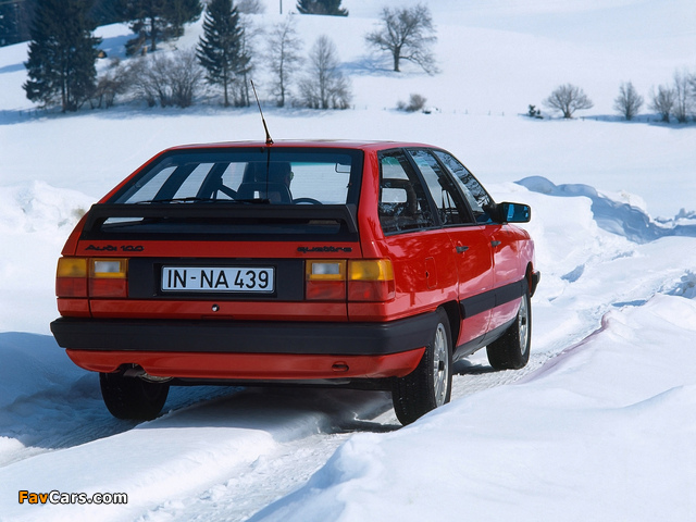 Pictures of Audi 100 quattro Avant C3 (1982–1987) (640 x 480)