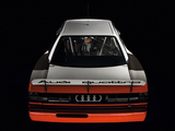 Audi 200 quattro Trans Am (1988) images