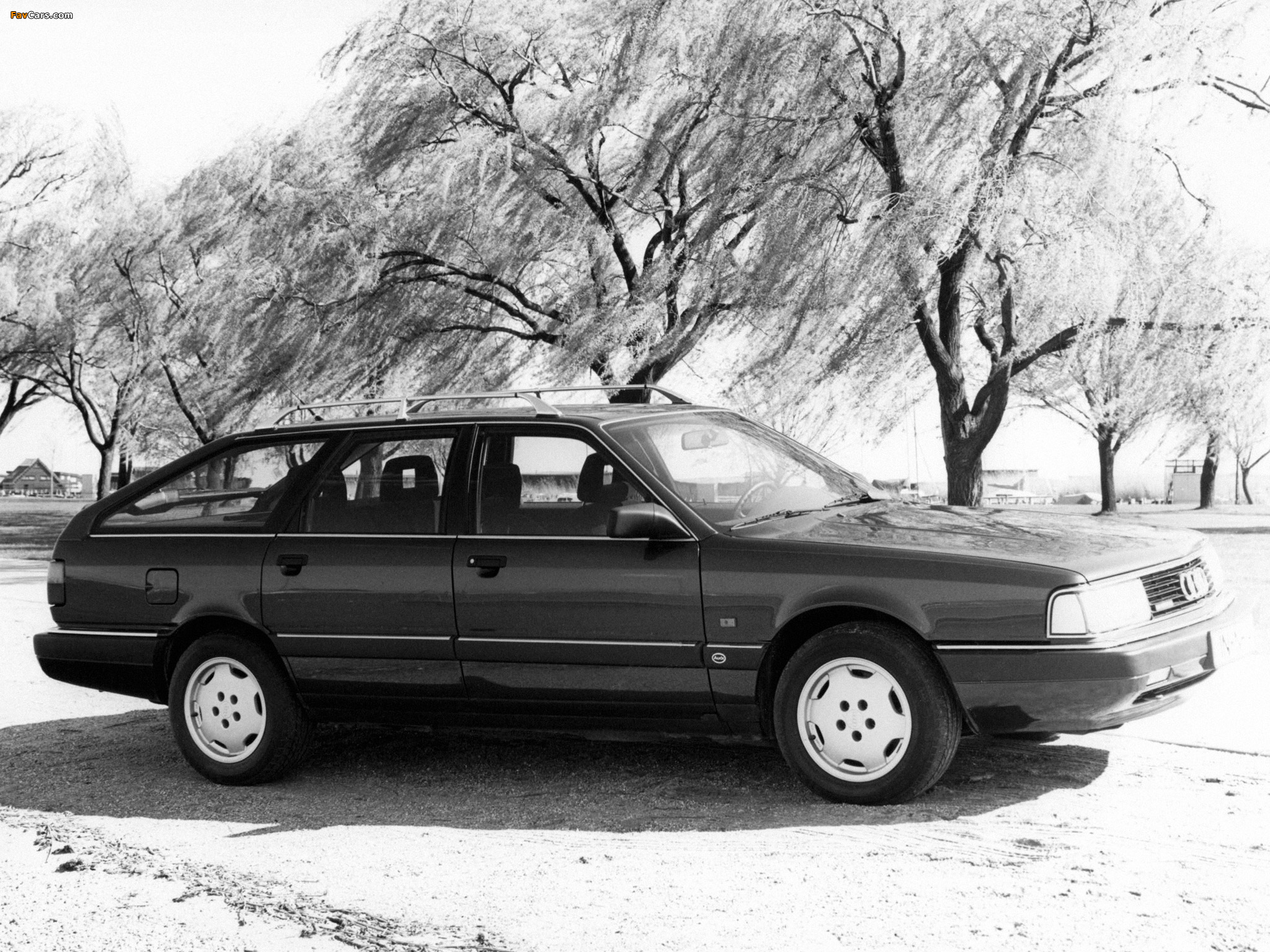 Audi 200 Avant quattro 44,44Q (1988–1991) pictures (2048 x 1536)
