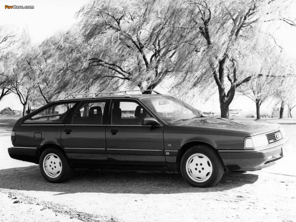 Audi 200 Avant quattro 44,44Q (1988–1991) pictures (1024 x 768)