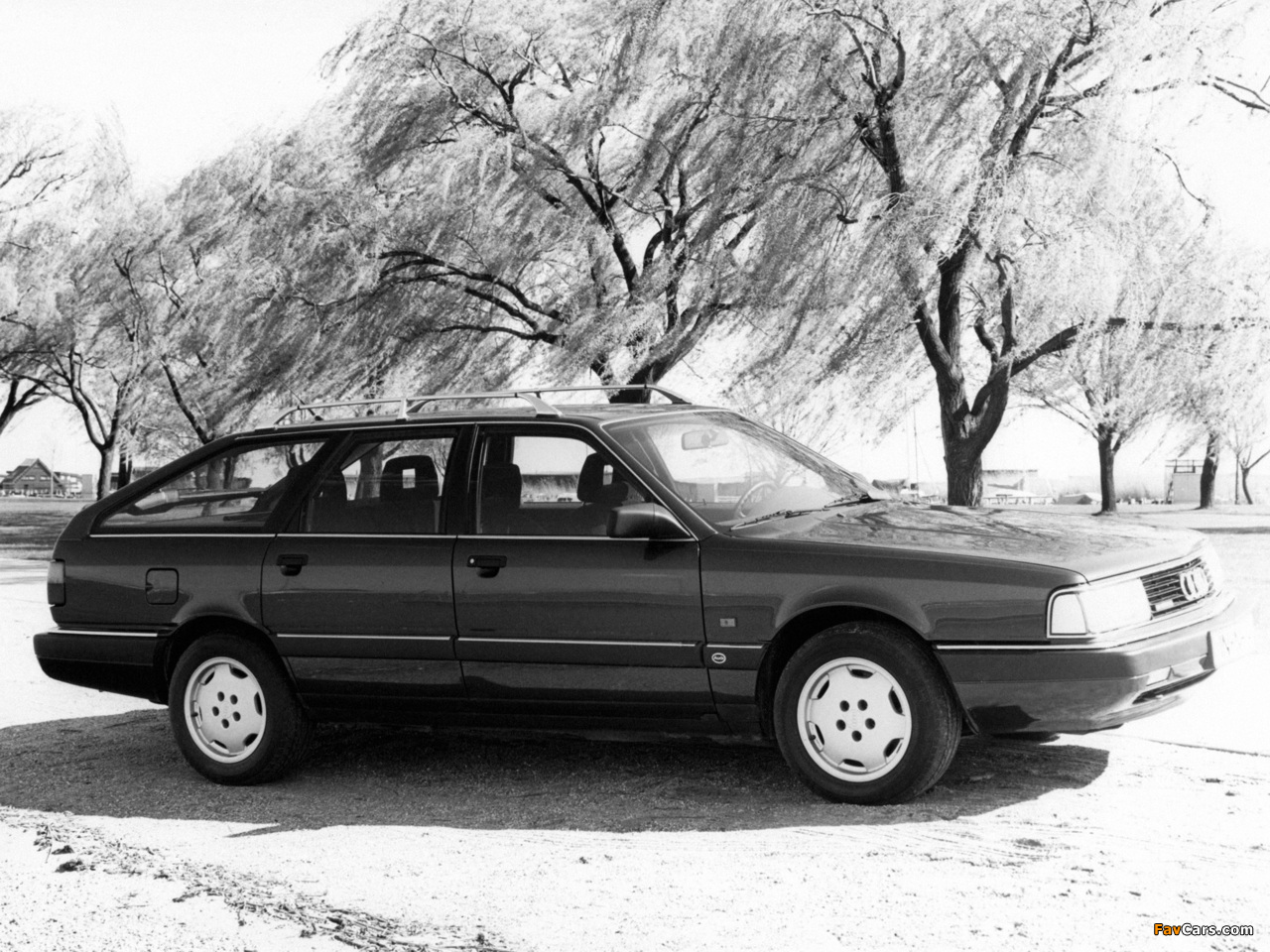 Audi 200 Avant quattro 44,44Q (1988–1991) pictures (1280 x 960)