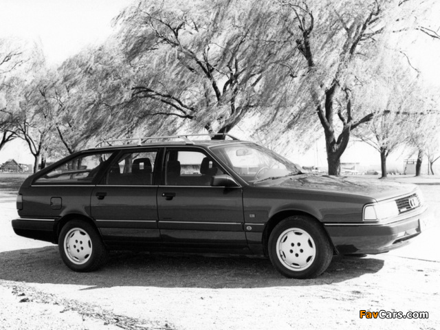 Audi 200 Avant quattro 44,44Q (1988–1991) pictures (640 x 480)