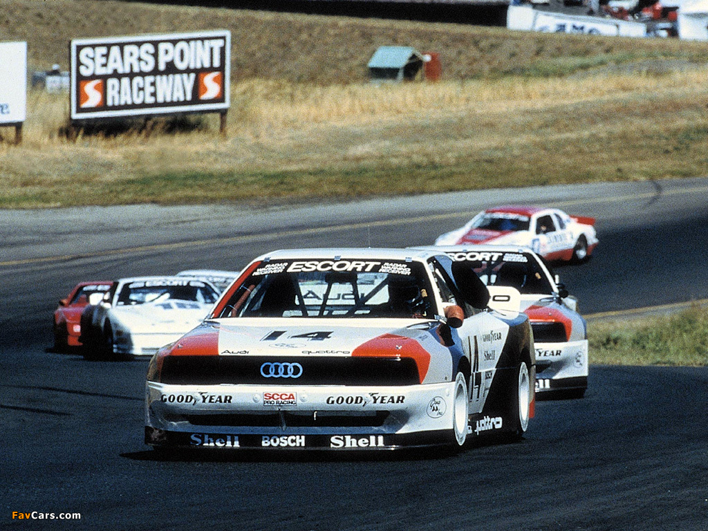 Audi 200 quattro Trans Am (1988) wallpapers (1024 x 768)
