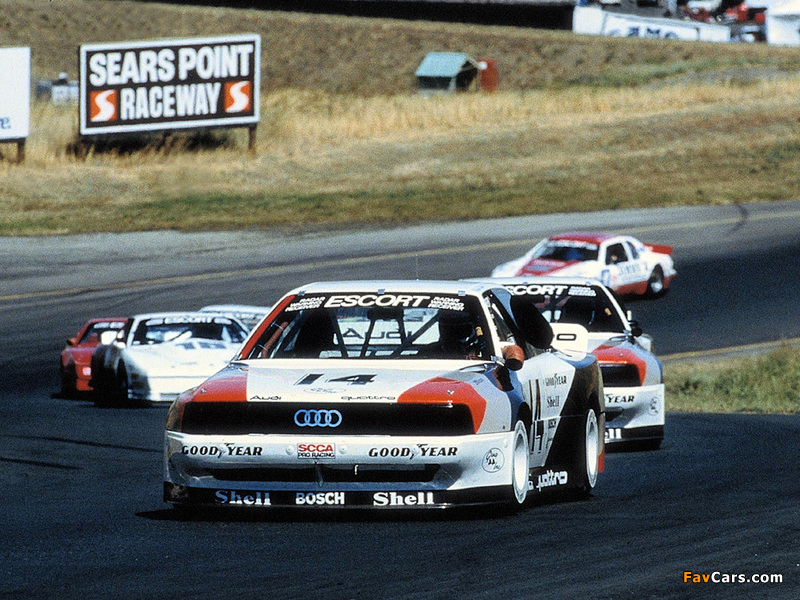 Audi 200 quattro Trans Am (1988) wallpapers (800 x 600)