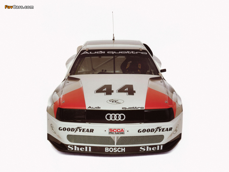 Images of Audi 200 quattro Trans Am (1988) (800 x 600)