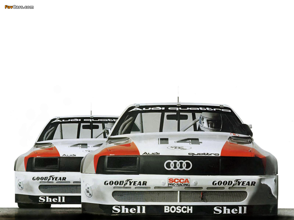 Pictures of Audi 200 quattro Trans Am (1988) (1024 x 768)