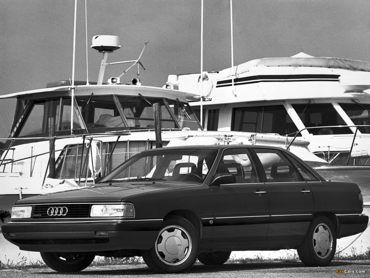 Audi 5000CS quattro 44,44Q (1986–1988) pictures (1280 x 960)