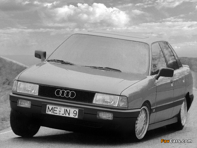 Images of Bergmeister Sport Audi 80 8A,B3 (1987) (640 x 480)