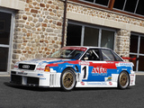 Pictures of Audi 80 quattro French Supertourisme 8A,B3 (1989–1992)