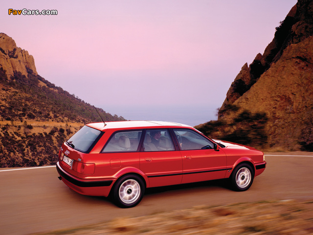 Pictures of Audi 80 Avant 8C,B4 (1991–1996) (640 x 480)