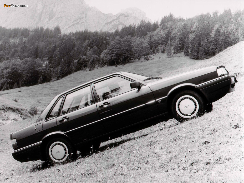 Audi 90 quattro B2 (1984–1987) pictures (1024 x 768)