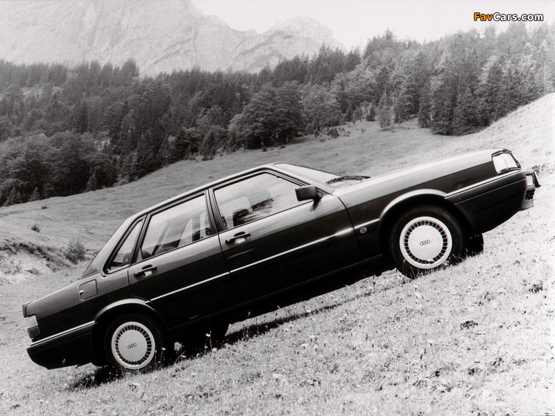 Audi 90 quattro B2 (1984–1987) pictures (800 x 600)