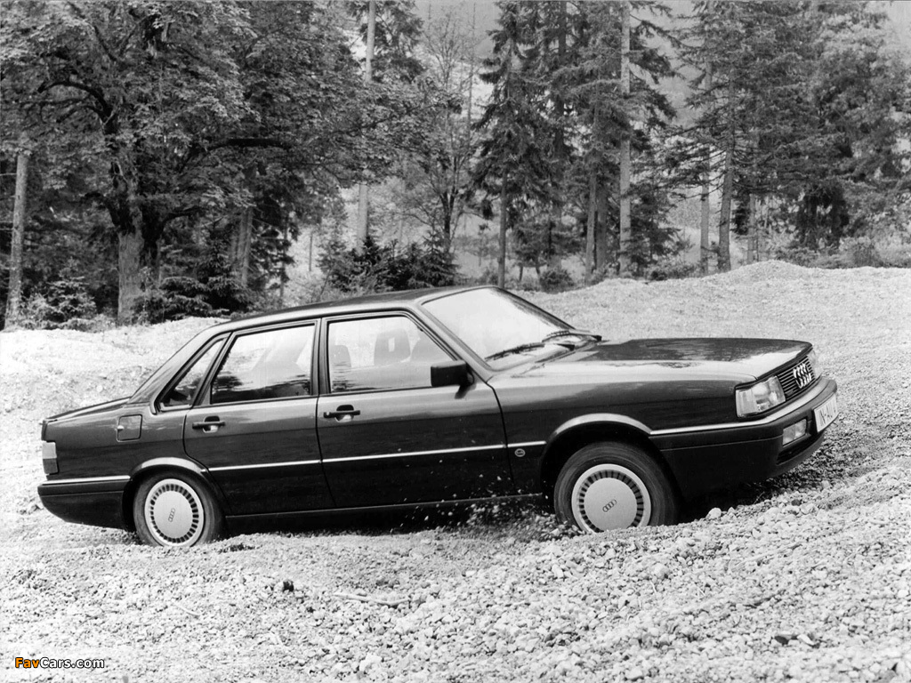 Images of Audi 90 quattro B2 (1984–1987) (1024 x 768)