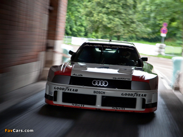 Audi 90 quattro IMSA GTO B3 (1989) wallpapers (640 x 480)