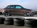 Pogea Racing Audi A1 8X (2011) pictures