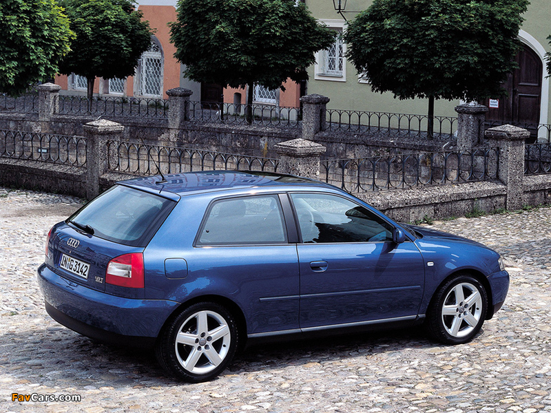 Audi A3 8L (2000–2003) photos (800 x 600)
