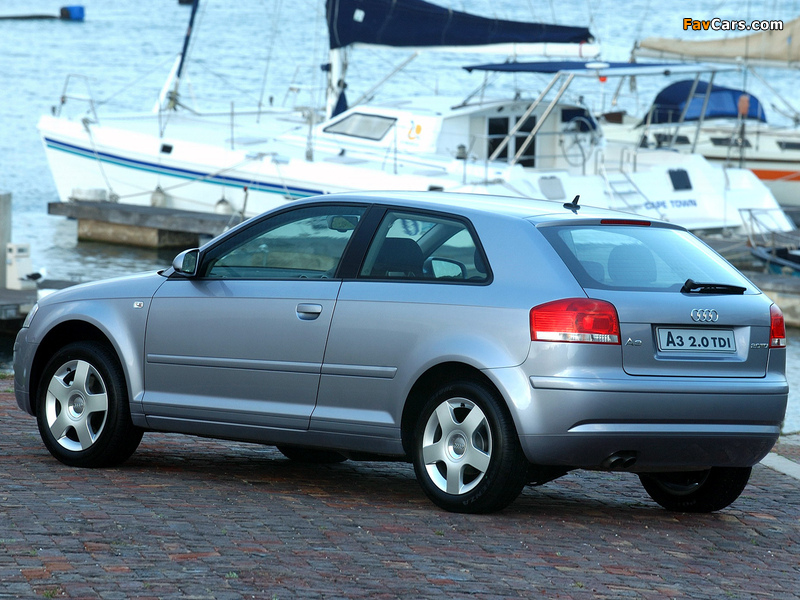 Audi A3 2.0 TDI ZA-spec 8P (2003–2005) images (800 x 600)